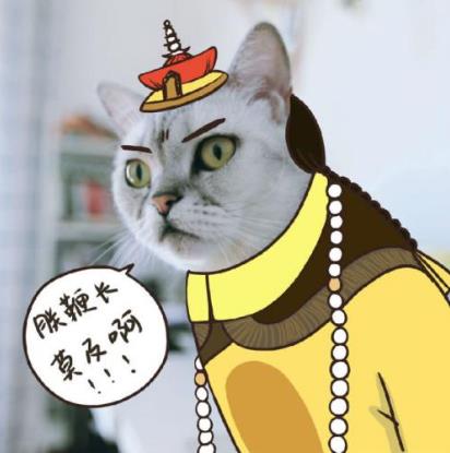 “鞭”长莫及是什么意思?鞭长莫及是什么梗?有什么内涵