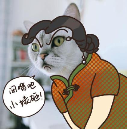 “鞭”长莫及是什么意思?鞭长莫及是什么梗?有什么内涵