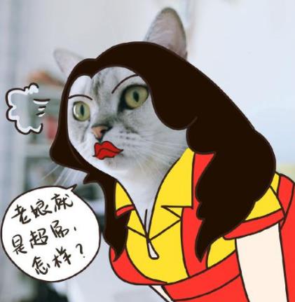 “鞭”长莫及是什么意思?鞭长莫及是什么梗?有什么内涵