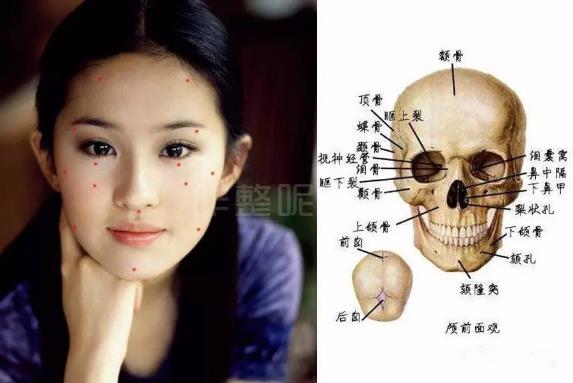 大饼脸是什么意思?一个人脸大的原因 大饼脸的瘦脸方法