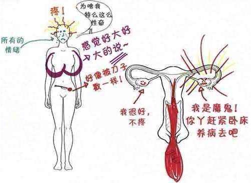 大姨妈是什么意思.jpg