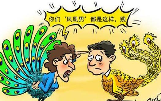凤凰男是什么意思.jpg