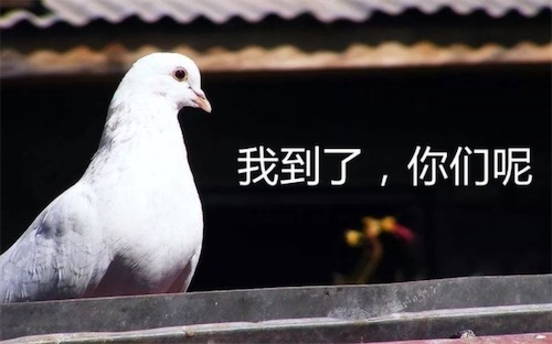 咕咕咕是什么意思什么梗 咕咕咕的含义及出处