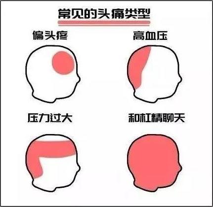 杠精是什么意思什么梗?杠精的特征表现 遇到杠精怎么办如何应对