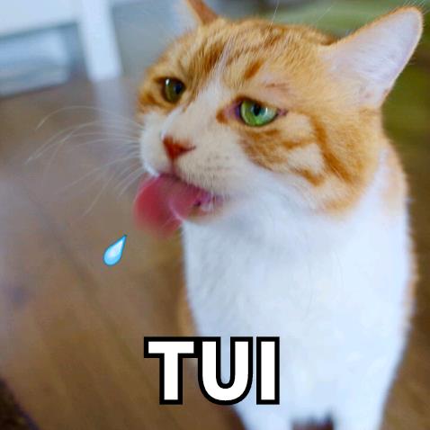 he~~~tui什么意思?he tui怎么怼回去?反击he tui吐痰吐口水表情 he~~~tui什么意思?he tui怎么怼回去?反击he tui吐痰吐口水表情