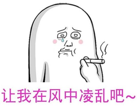 凌乱是什么意思?网络用语我凌乱了是什么意思 凌乱是什么意思?网络用语我凌乱了是什么意思 风中凌乱表情