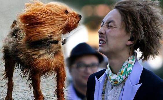 凌乱是什么意思?网络用语我凌乱了是什么意思 凌乱是什么意思?网络用语我凌乱了是什么意思 风中凌乱表情