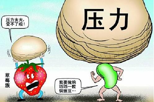 榴莲族是什么意思什么梗?职场人士中你是榴莲族还是草莓族?