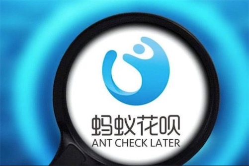 母单花是什么意思什么梗 母单花指从出生起就单身且还不起花呗