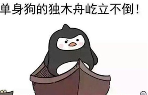 母单花是什么意思什么梗 母单花指从出生起就单身且还不起花呗