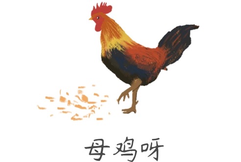 母鸡呀是什么意思什么梗 母鸡呀是不知道的意思