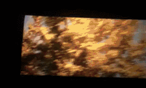 马震是什么意思?范冰冰马震完整视频动态图gif 杨贵妃马震戏被删 马震是什么意思?范冰冰马震完整视频动态图gif 杨贵妃马震戏被删