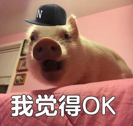 ojbk/o几把k是什么意思什么梗?ojbk到底是ok还是不ok?完全ojbk意思