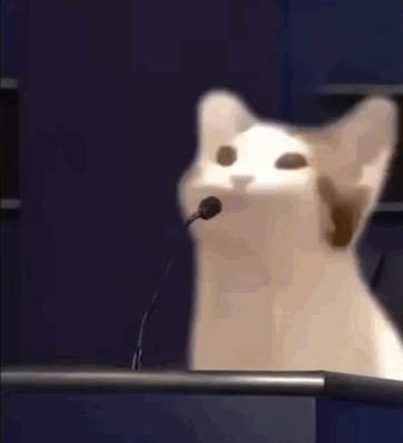 popcat