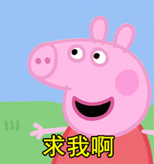 佩奇省是什么意思什么梗 小猪佩奇省是哪个省 海南佩奇省地图