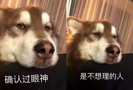 确认过眼神是什么意思?确认过眼神是什么梗?林俊杰醉赤壁中的歌词