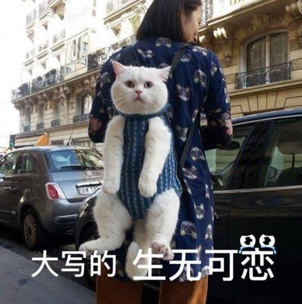 人间不值得是什么意思什么梗?丧文化网络梗:开心点朋友们,人间不值得