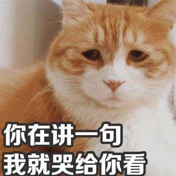 丧文化是什么意思?为何会出现丧文化?丧文化为何会刷屏火起来