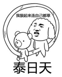 泰日天是什么意思什么梗?泰迪狗为什么叫泰日天 日天日地日空气