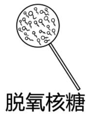 脱氧核糖是什么意思什么梗?脱氧核糖的内涵意思 请你吃脱氧核糖