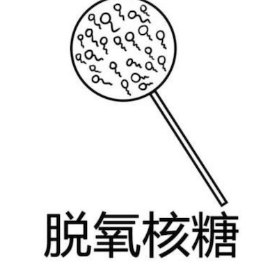 脱氧核糖是什么意思什么梗 脱氧核糖指代啪啪啪行为