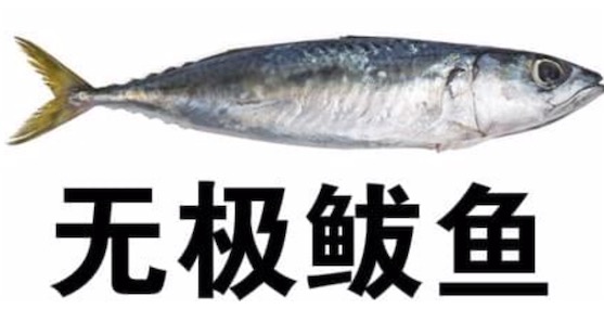 无极鲅鱼是什么意思什么梗 无极鲅鱼是无jb语的意思