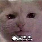 委屈巴巴是什么梗什么意思?猫咪委屈巴巴卖萌表情包(全)