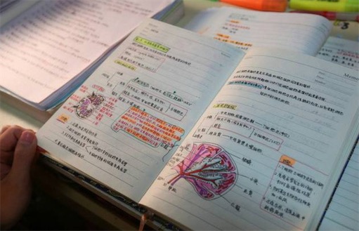 学弱是什么意思什么梗 学霸和学弱的区别