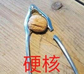 硬核是什么意思什么梗?2019年十大流行语之硬核相关段子及示例