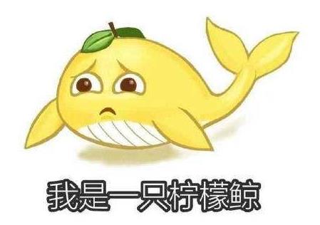 《咬文嚼字》编辑部发布2019年十大最火网络流行语 996我太南/难了