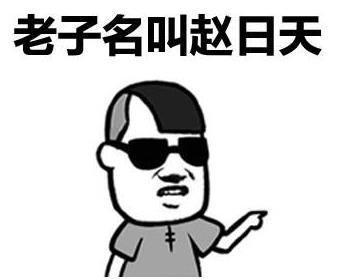 赵日天是谁?赵日天是什么梗?赵日天是什么意思?我赵日天第一个不服
