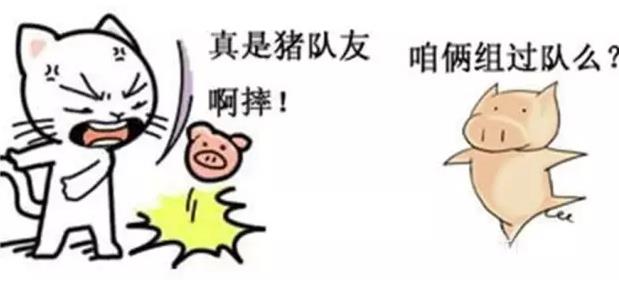 猪一样的队友是什么意思什么梗?猪队友特点 讽刺猪一样的队友段子
