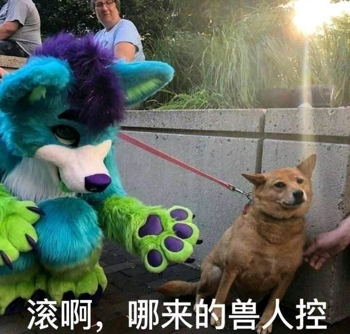 小心兽人控