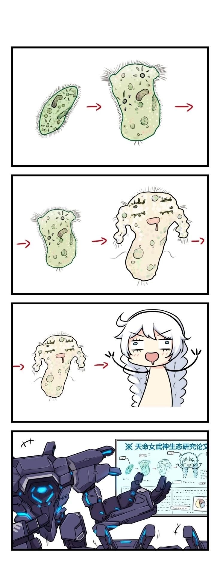 草履虫