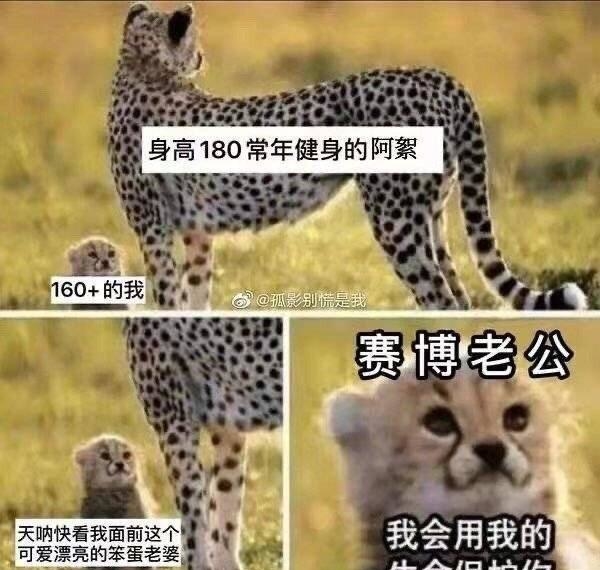十年硬汉无人知 一朝老婆天下闻