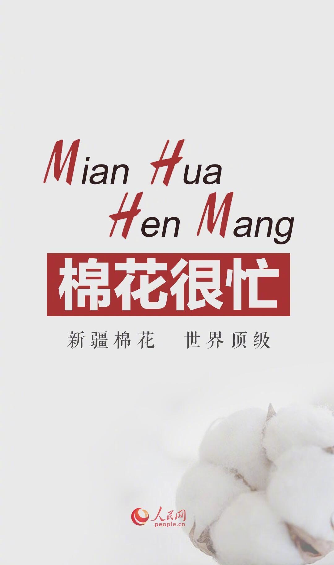 Mian Hua Hen Mang