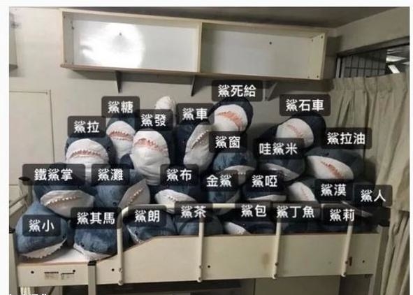 宜家鲨鱼