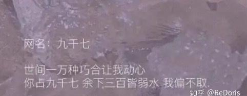 星河襟