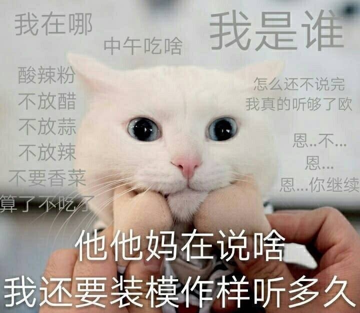 中午吃啥