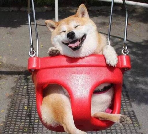 蔡徐坤行为
