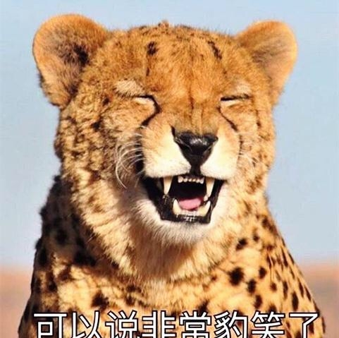 非常豹