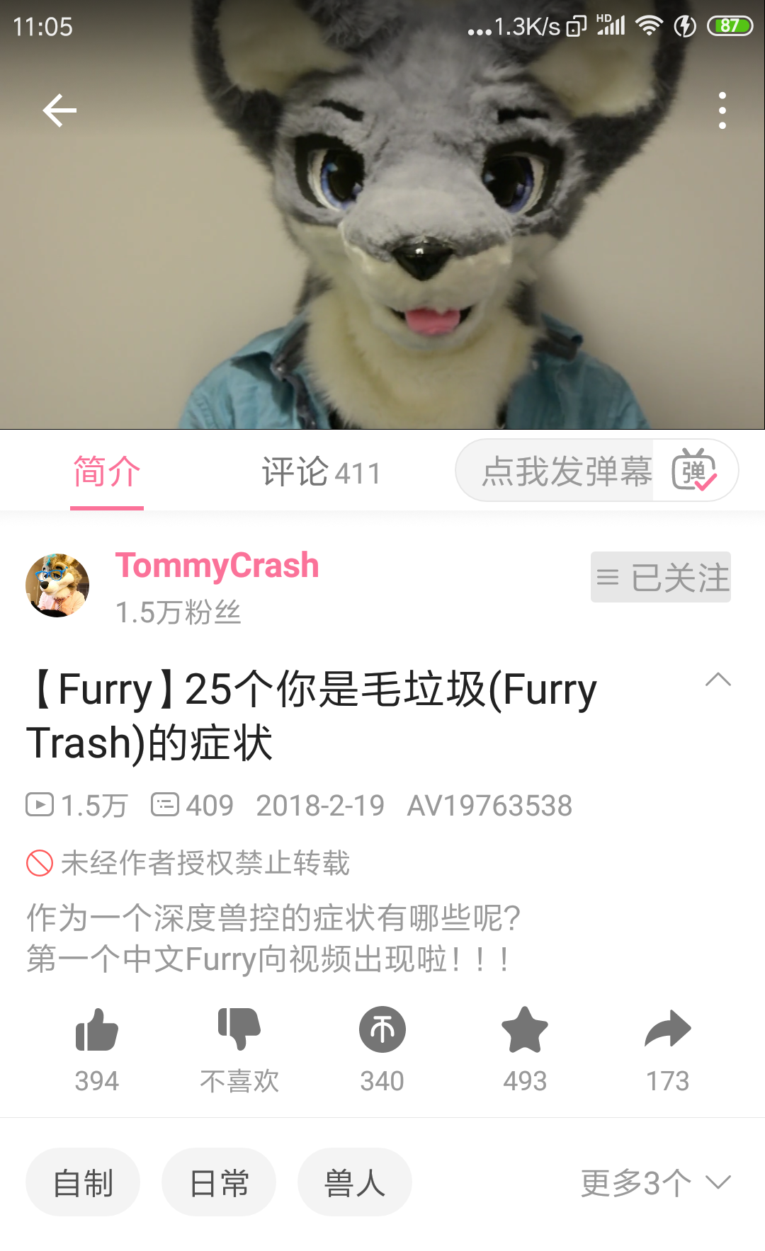 毛垃圾