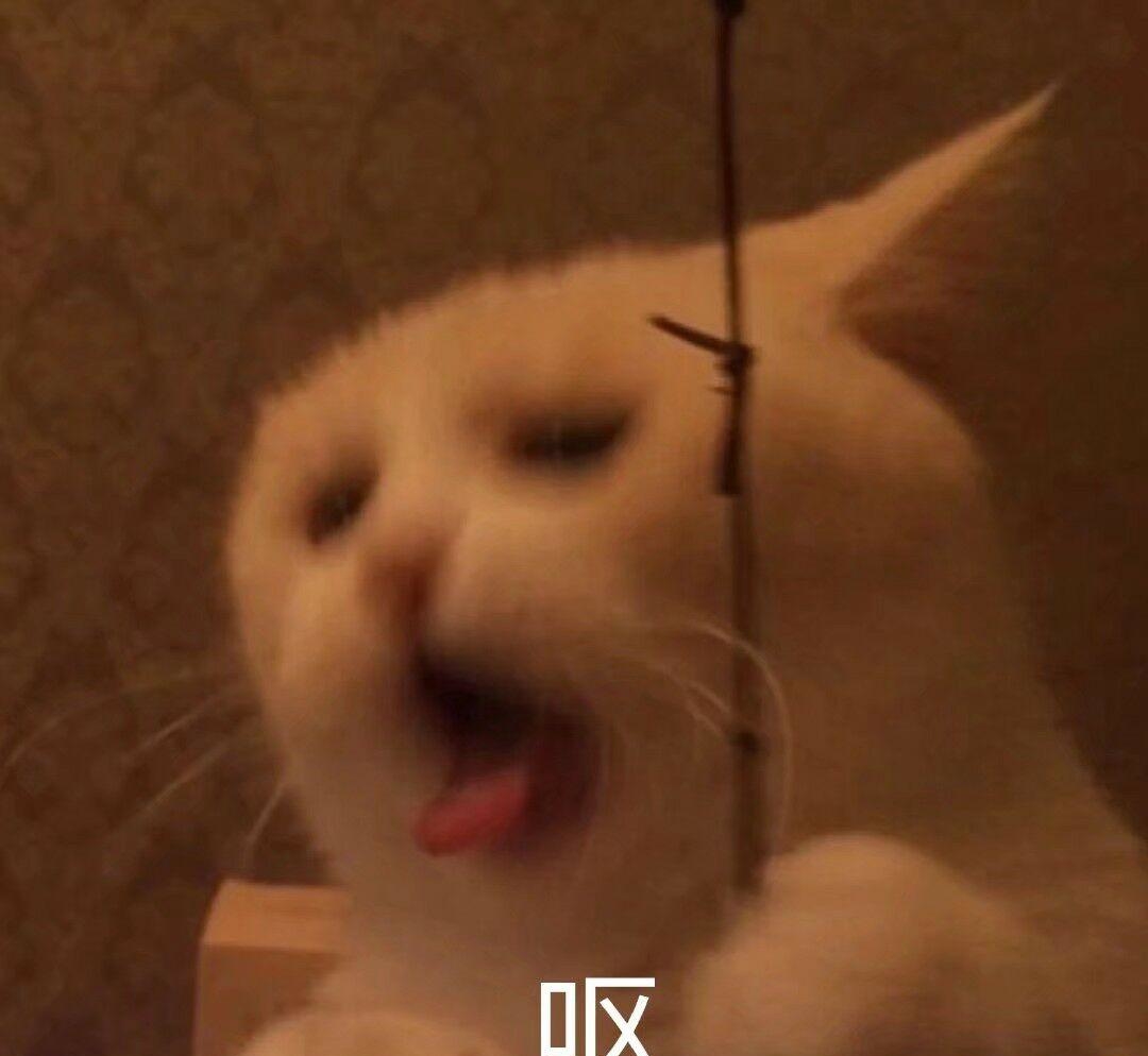 呕呕呕