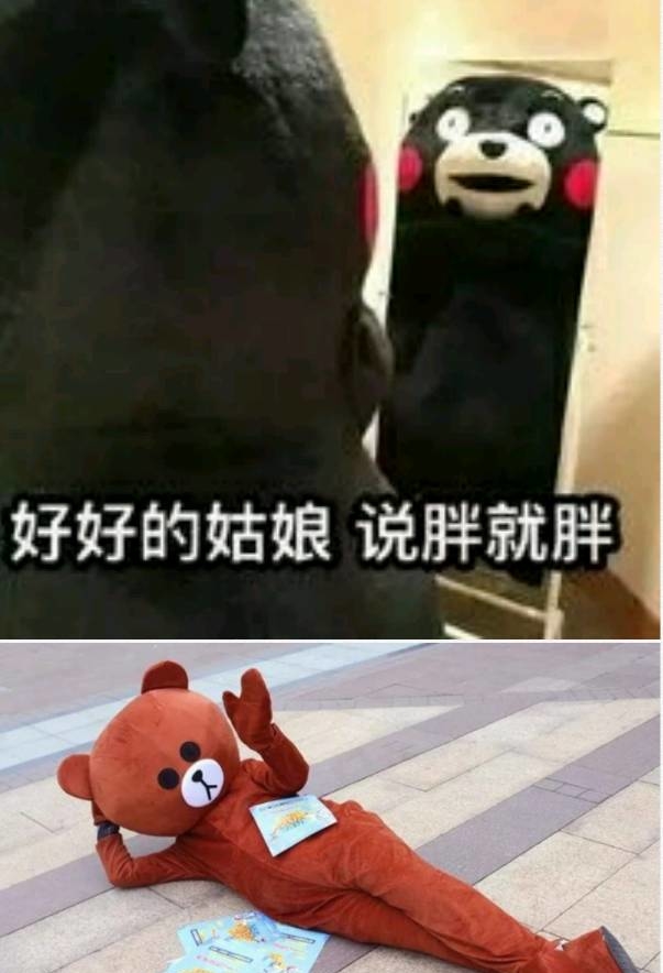 网红熊