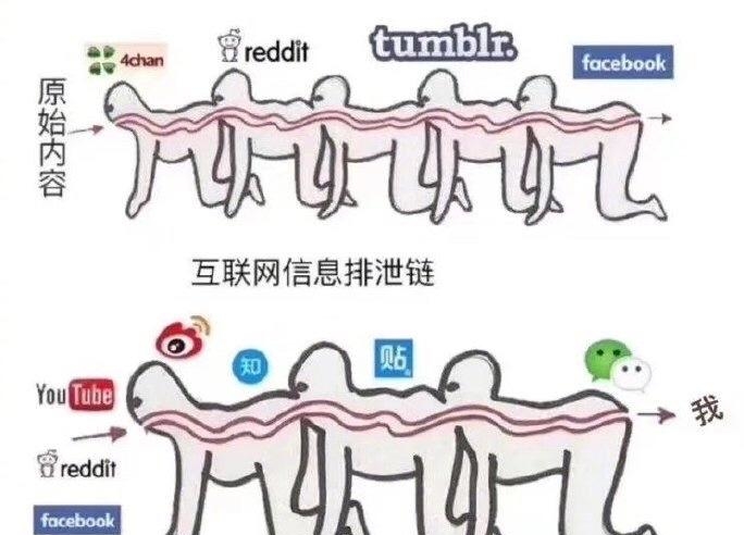 排泄链