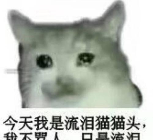 流泪猫猫头
