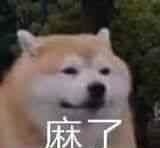 麻了是什么意思(表情包图中的小狗做出了心力憔悴的神情)