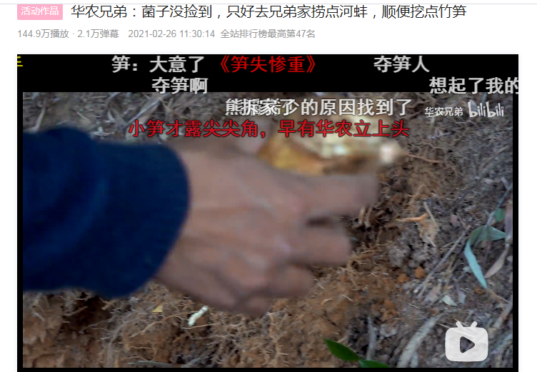笋失惨重