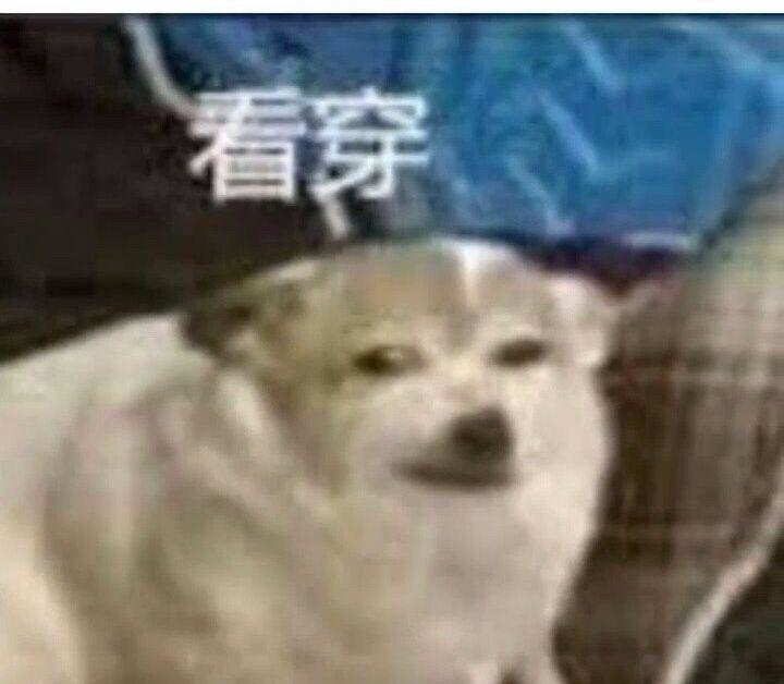 山谷女孩