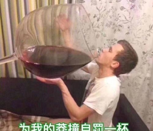 为我的莽撞自罚一杯